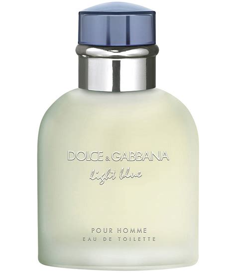 dolce gabbana light blue dillards|dolce gabbana light blue toilette.